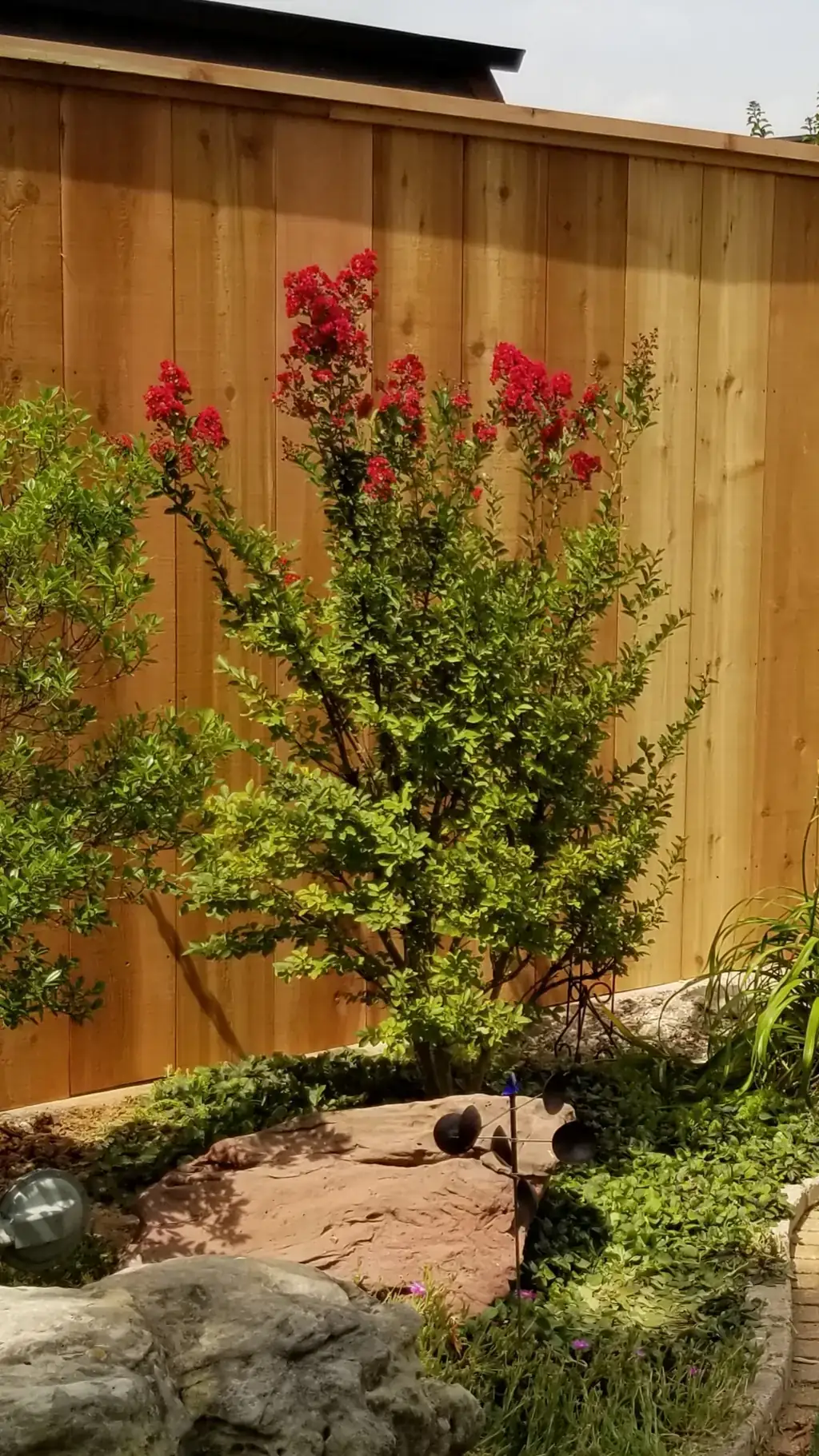 Cedar fence built by Fence Masters, seen through mature landscaping and shrubs on the property